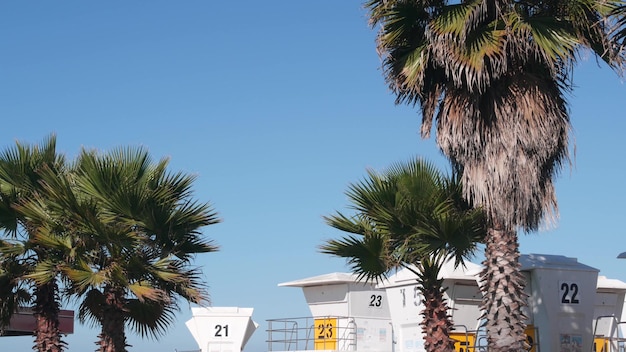 Supporto bagnino e torre di guardia di vita di palme per il surf sulla spiaggia di california