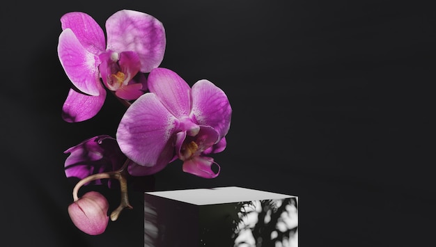 Supporto quadrato nero per presentazioni di packaging e cosmetici con delicati fiori di orchidea al sole