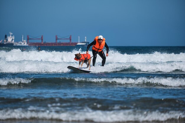 Surfista che indossa casco e giubbotto di salvataggio che naviga con il suo cane pastore tedesco in un porto