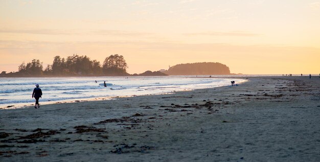 Surfisti a Tofino British Columbia