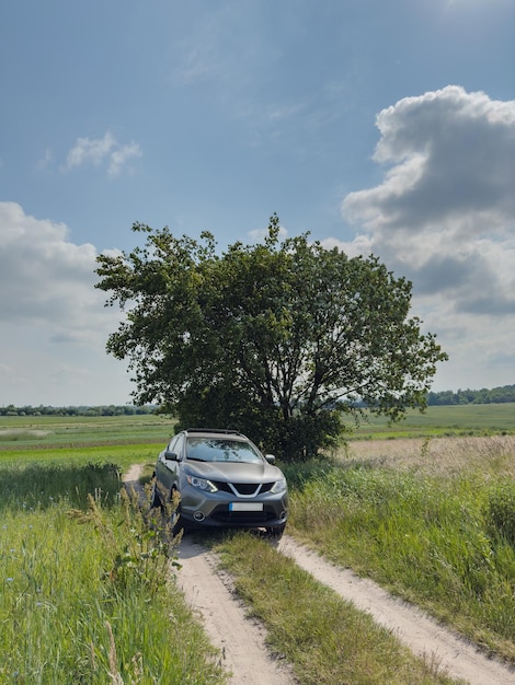 Suv auto su sentiero in campo