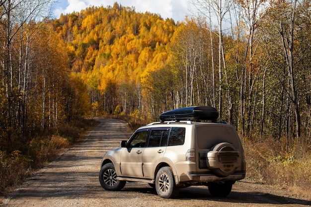 SUV sporco sulla strada panoramica di autunno nella foresta