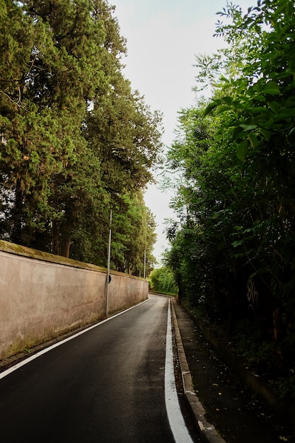 Svuoti il percorso s-curvo lungo l&#39;orizzonte pubblico. Sfondo dell&#39;ambiente urbano. paesaggio autunnale