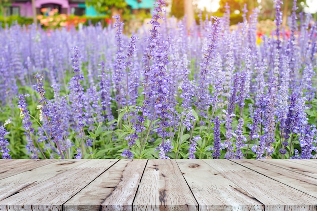 Svuoti la tavola di legno marrone per il prodotto dell'esposizione con il bello fondo dei fiori della lavanda