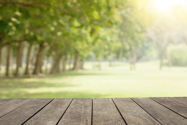 Svuoti la tavola / pavimento di legno in parco pubblico con gli alberi verdi