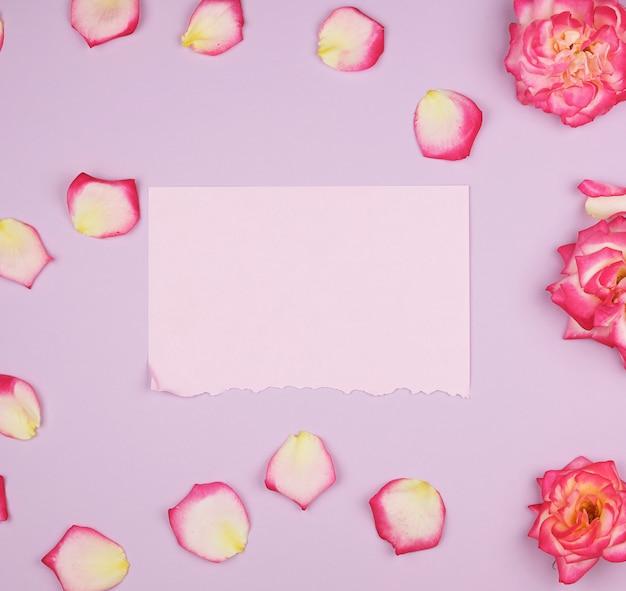 Svuoti lo strato di carta rosa e i germogli delle rose rosa, superficie festiva