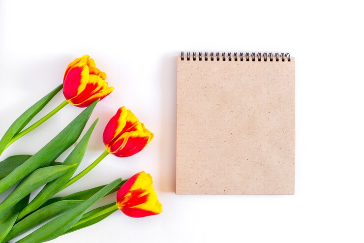Taccuino del mestiere su fondo bianco con il mazzo rosso dei tulipani dei fiori freschi