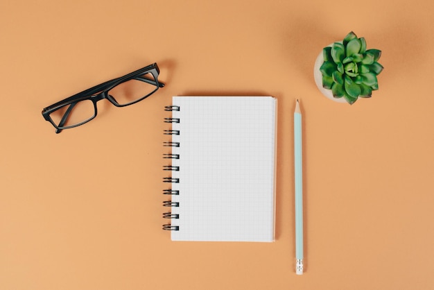 Taccuino vuoto con una penna, occhiali e un cactus su sfondo marrone arancione, brainstorming