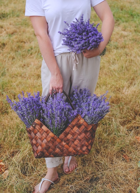 Taglia la lavanda nel cestino