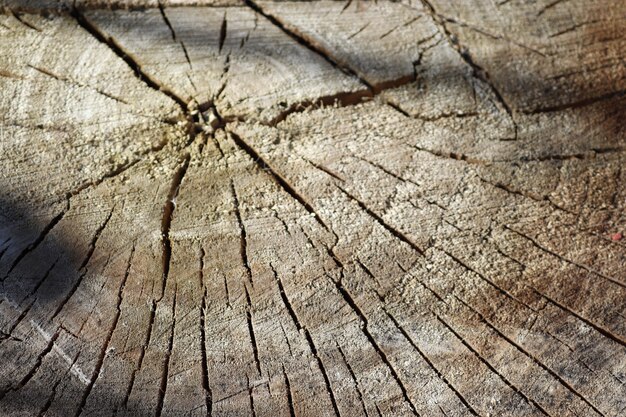 tagliare il legno con uno sfondo di legno vecchio incrinato