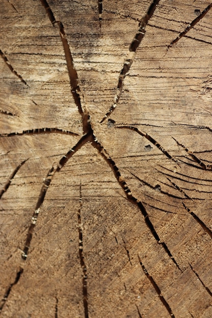 tagliare il legno con uno sfondo di legno vecchio incrinato