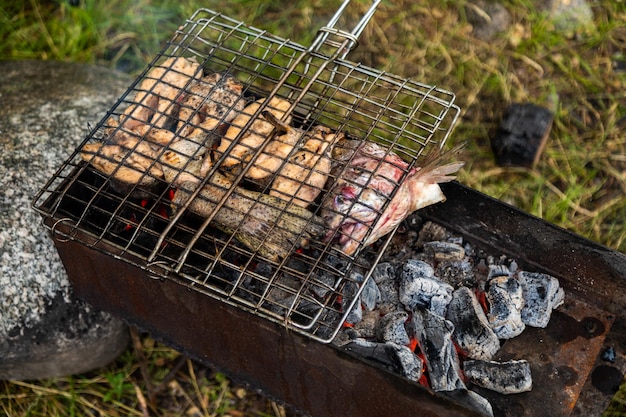 Tagliare il pesce in griglia metallica grigliare su un braciere con carbone ardente