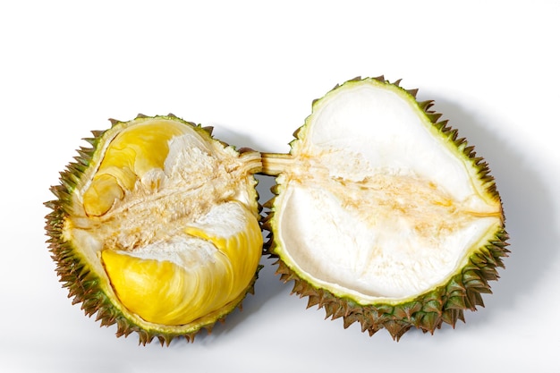 Tagliare la frutta tropicale Durian aperta su sfondo bianco