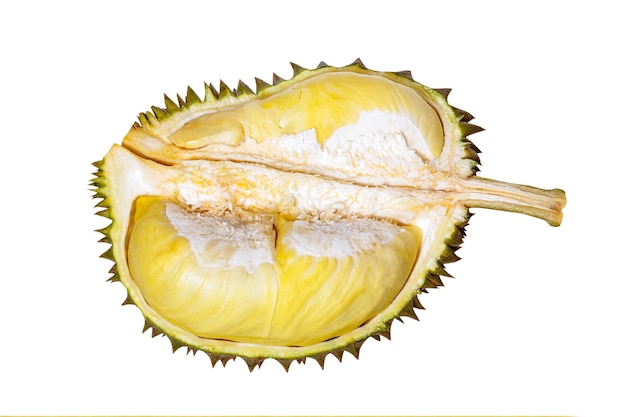 Tagliare la frutta tropicale Durian aperta su sfondo bianco