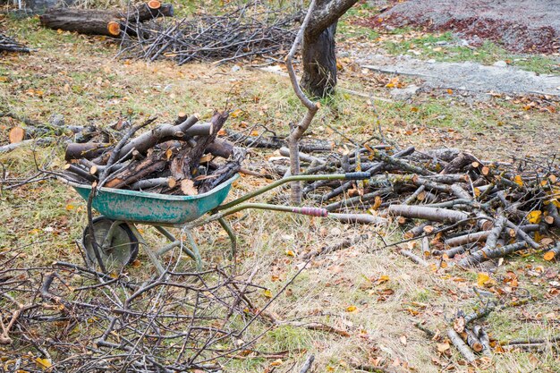 Tagliare la legna da ardere nel cortile della casa del villaggio, legna per il camino