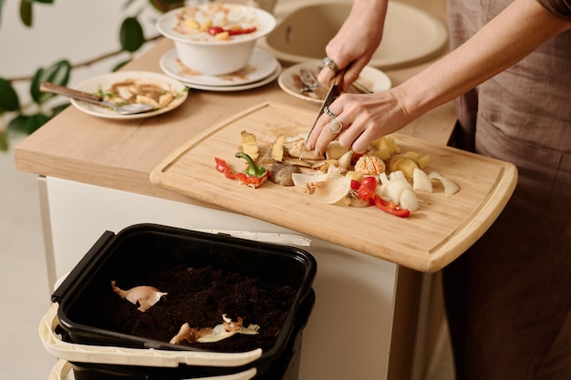 Tagliatura dei rifiuti alimentari organici a bordo