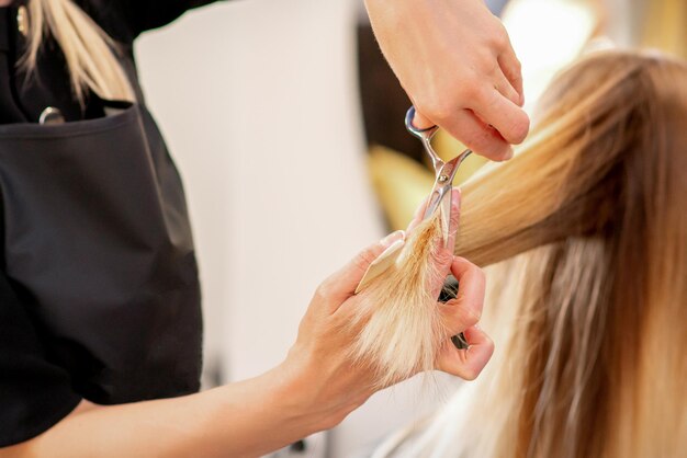 Taglio dei capelli biondi femminili. Il parrucchiere taglia i capelli di una giovane donna caucasica in un salone di bellezza da vicino.