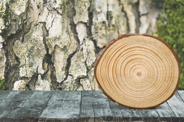 Taglio rotondo dell'albero sullo sfondo della natura