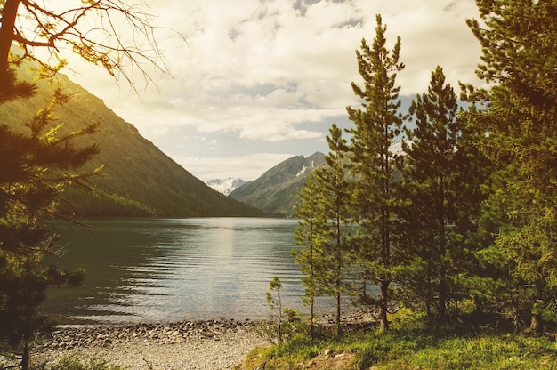 Taiga foresta sul bordo del lago in una giornata di sole. Vista del bellissimo lago e delle montagne attraverso il verde degli abeti rossi