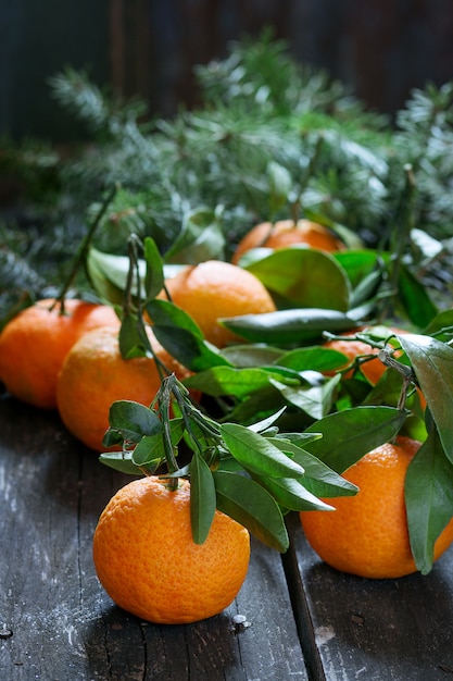 Tangerini in decorazioni natalizie