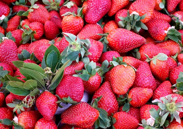 tante dolci fragole con le foglie