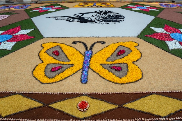 Tappeto di petali e fiori per Corpus Christi