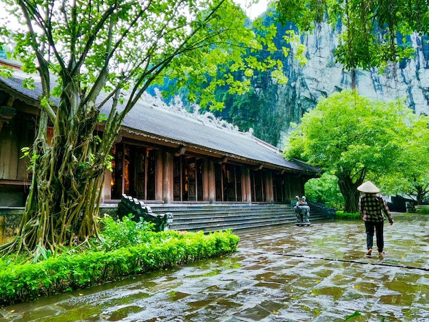 Tarang Una bellissima pagoda buddista tra le montagne in una bella giornata di pioggia in vietnam