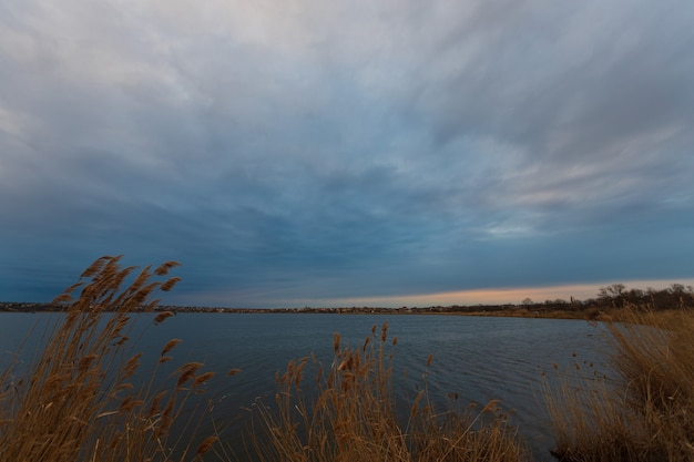 Tarda serata al lago coperto e nuvoloso con canne in primo piano