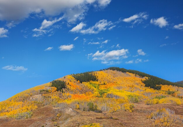 Tardo autunno in montagna