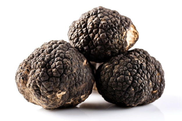 Tartufo nero Tuber Melanosporum su sfondo bianco IA generativa