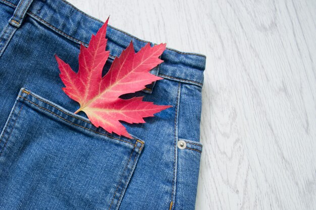 Tasca posteriore di jeans con foglia d'acero rossa