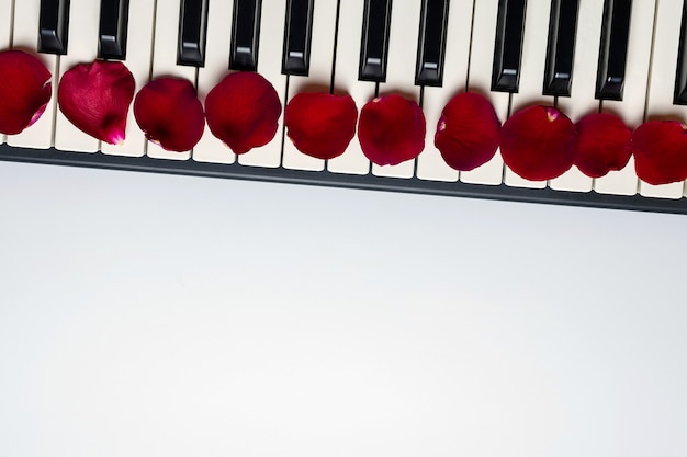 Tasti del piano con i petali del fiore della rosa rossa, vista isolata e superiore, spazio della copia.