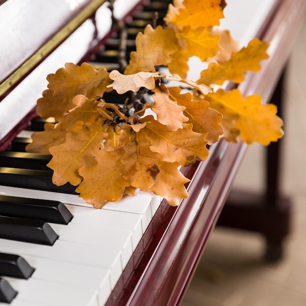 Tasti di pianoforte con foglie di quercia autunnali luminose