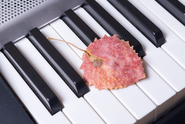 Tasti di pianoforte musicali e foglie di autunno