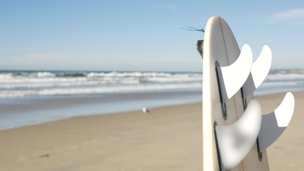 Tavola da surf per il surf in piedi sulla spiaggia di sabbia costa california usa onde oceaniche