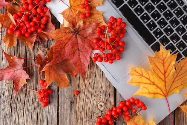 Tavola di autunno con le foglie e il tè ad un all'aperto