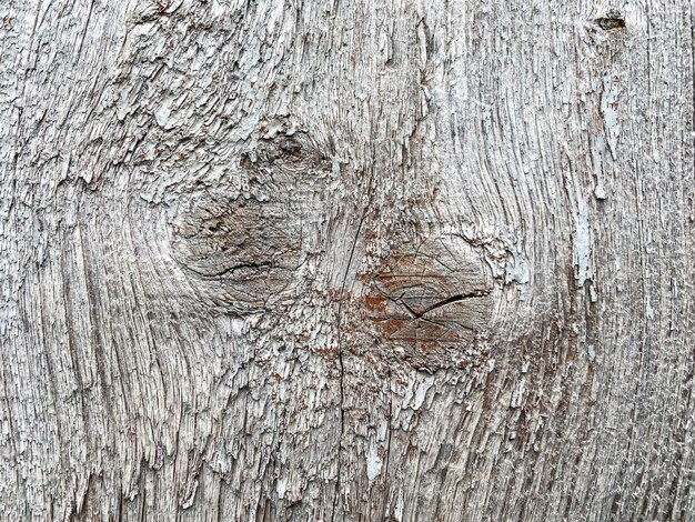 tavola di legno della parete grigia di struttura di legno