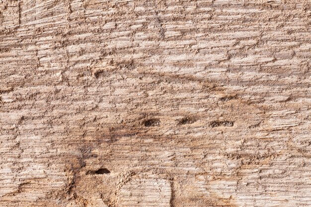 Tavola di legno vecchia di texture di sfondo.