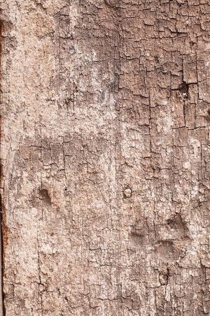 Tavola di legno vecchia di texture di sfondo.