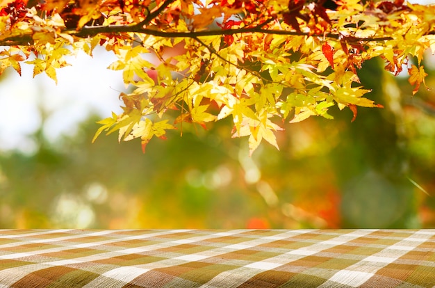 Tavola di picnic con il giardino dell&#39;albero di acero di Jananese in autunno.