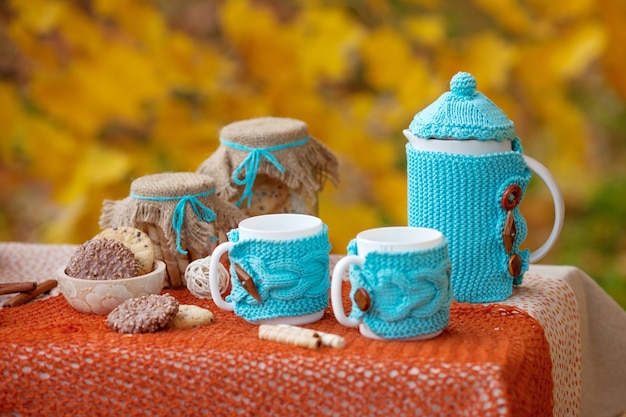 Tavola preparata per pranzo in natura autunnale, picnic.