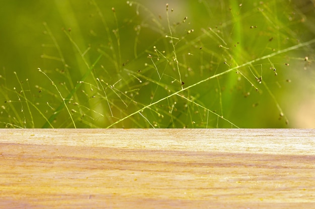 Tavola vuota del bordo di legno davanti ai fiori dell'erba su fondo verde per la visualizzazione del prodotto