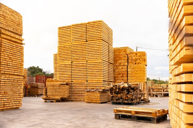 Tavole appena segate Pallet sul territorio della fabbrica di lavorazione del legno Trattamento industriale del legno