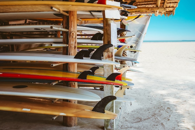 Tavole da surf colorate in negozio in affitto sulla spiaggia
