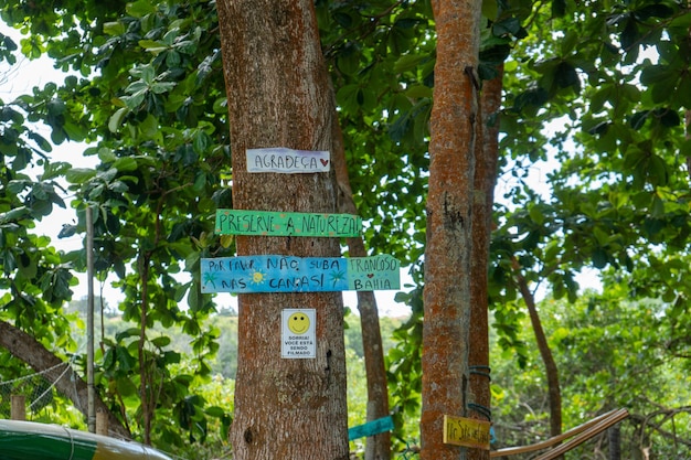 Tavole di cura attaccate agli alberi