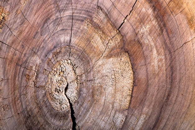 Tavole di legno con bordi a trama