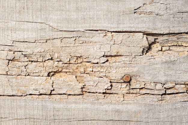 Tavole di legno, trama con motivo naturale