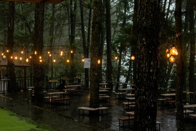 Tavoli da caffè e panchine al centro di una foresta di pini con lampade a incandescenza retro sotto la pioggia