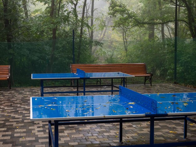 tavoli da ping pong nel parco con foglie autunnali