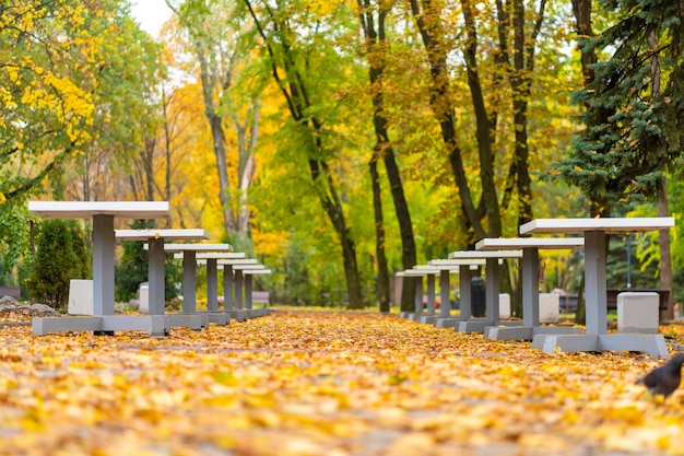 Tavoli da scacchi ricoperti di foglie gialle in un parco autunnale